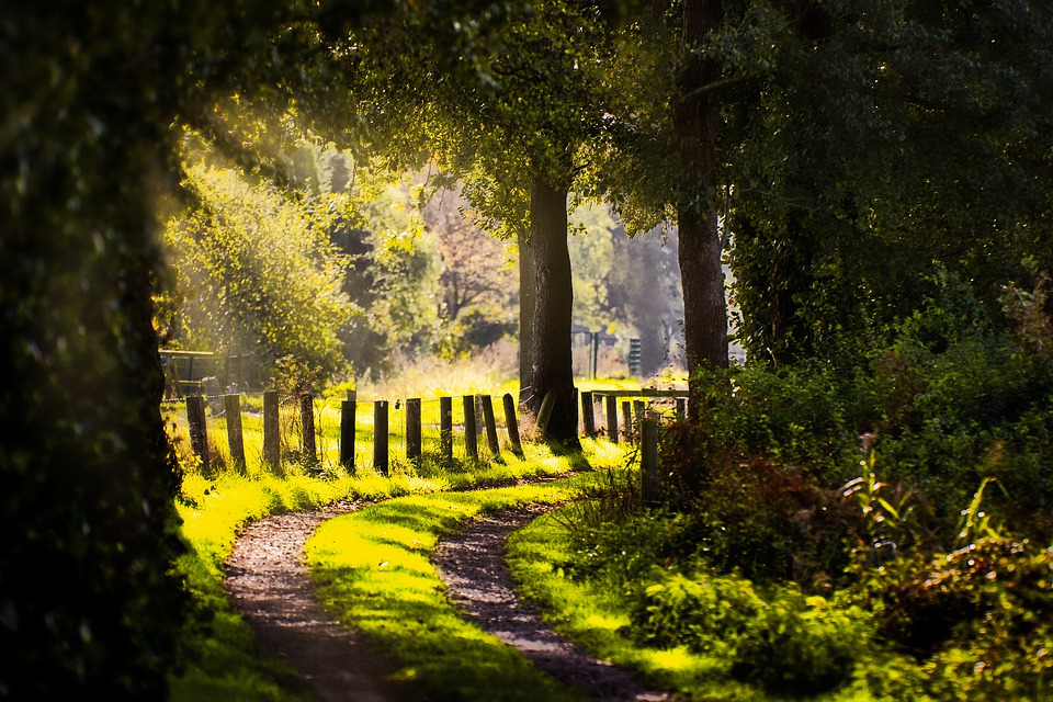 ER IS GEEN WEG NAAR GELUK, GELUK IS DE WEG (Boeddha)